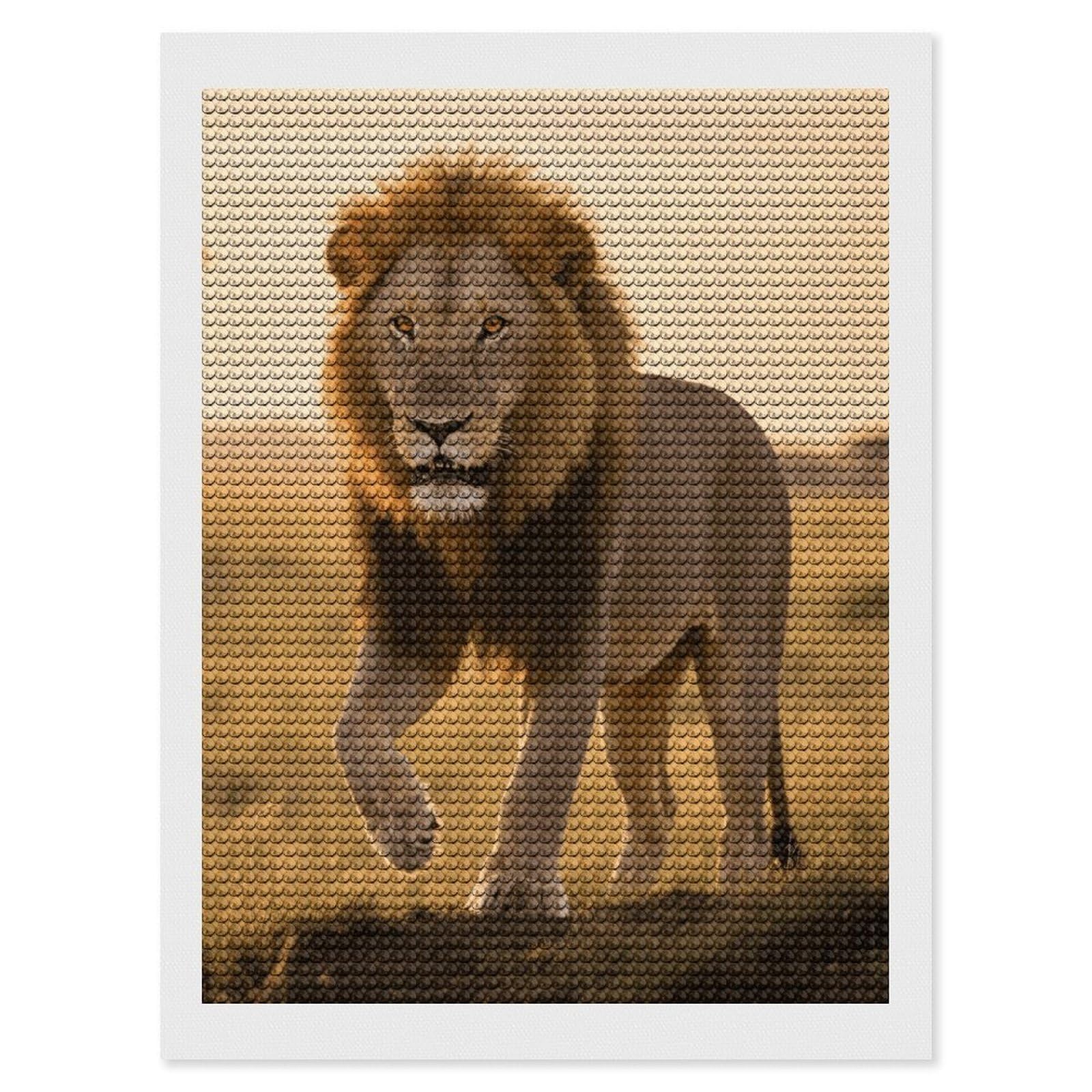 FodPand Grassland Lion 5D Diamond Painting Kits for Adults Beginners Full Drill Round Diamond Dots Pictures Gem Art Supplies for Home Wall Room Decoration DIY Craft Set Gift 12x16