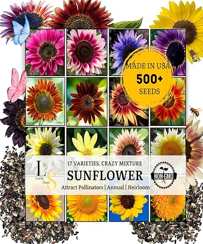 Más de 500 semillas de girasol mixtas para plantar (más de 17 variedades, mezcla loca), interior y exterior, paquete a granel, reliquia, sin OMG,