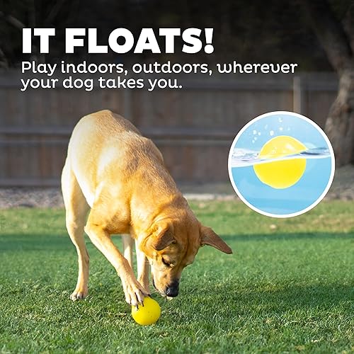 Miniatura 6 de Planet Dog Orbee-Tuff Squeak Ball - Juguete amarillo para perros