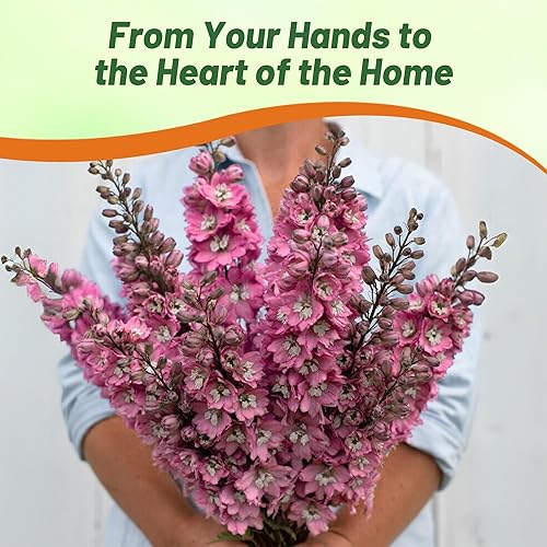 Miniatura 6 de Outsidepride Delphinium Magic Fountains - Flores de cerezo con abejas blancas cortadas para jarrones, ramos, arreglos - 100 semillas