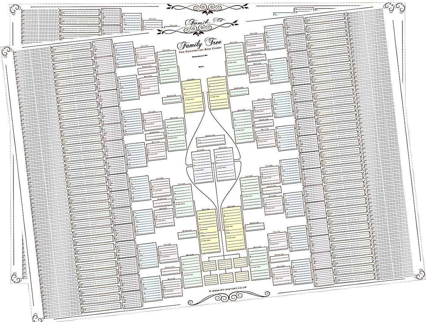 Family Tree Chart - 10 Generation Double Chart (Coloured Boxes 120 g Paper Pack of Two)