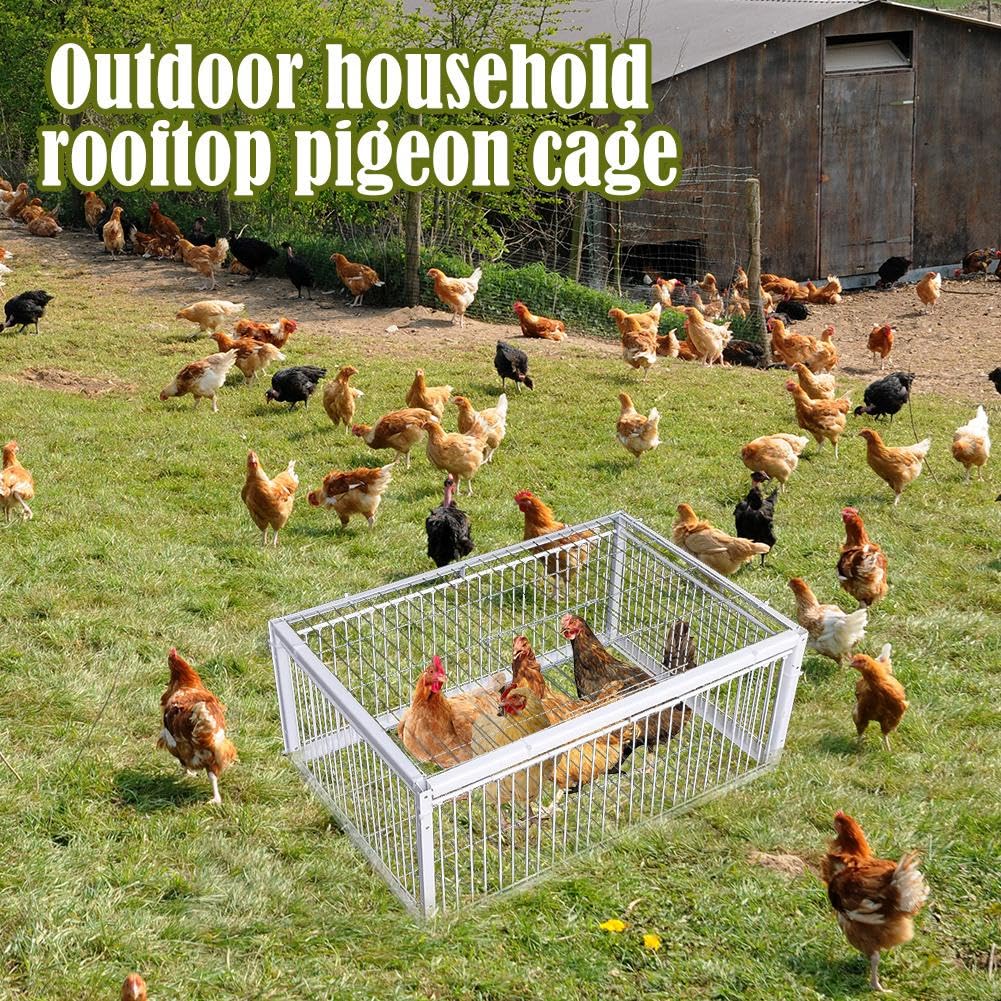 Jaula trampa para palomas, entrada unidireccional, portátil, fácil montaje, jaula de hierro resistente al óxido para palomas y pájaros, diseño a prueba de escapes, ideal para control de aves