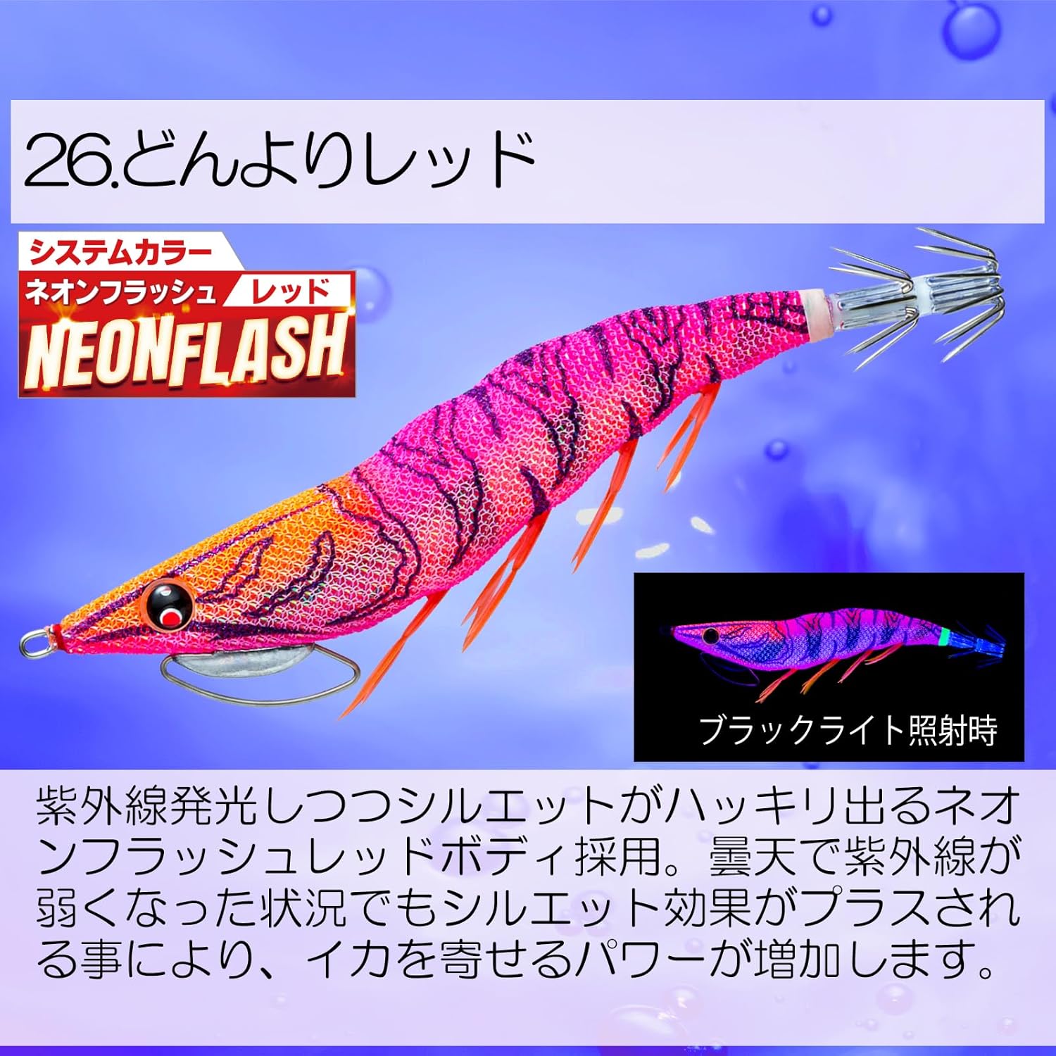 Duel EZ-Q Cast Plus 3.0 No. 26: Dongyo Red Squid Fishing, Aori Squid, Egging