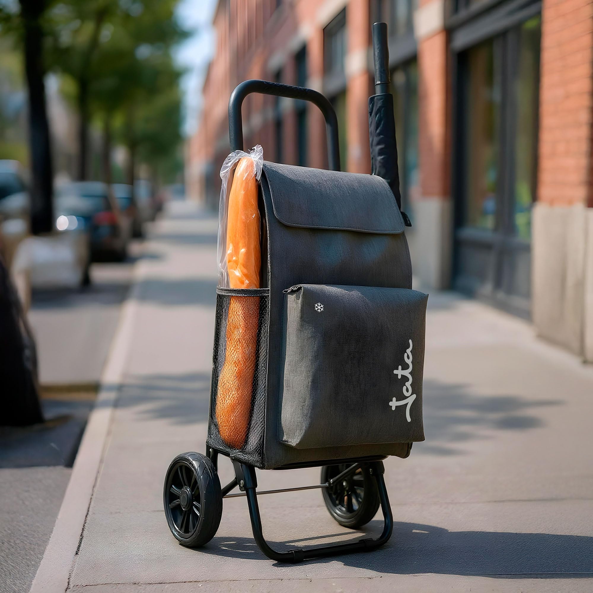 JATA HCAR2504 - Carrello della spesa 2 ruote. 40 litri con sacchetto refrigerante per congelati. Portata fino a 30 kg. Tasche laterali e posteriori. Telaio in acciaio. Leggero