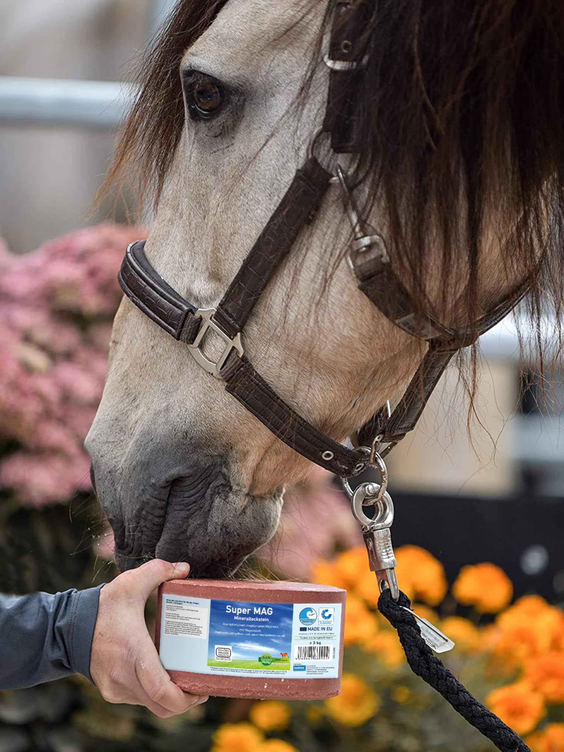 Vitaminen & Mineralen: Horsefood Licks Mineralenemmer 15 kg