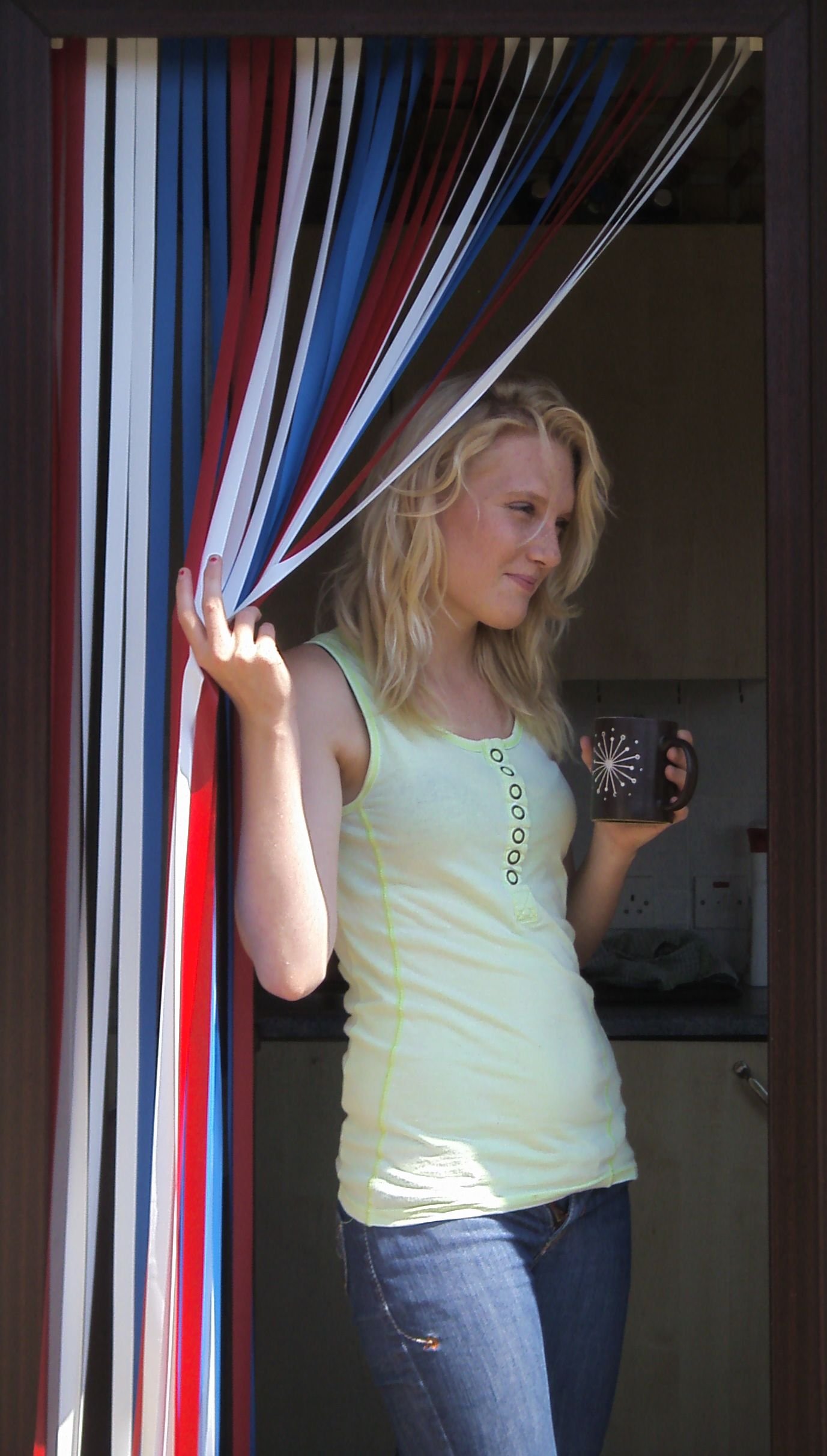 Holland Plastics Original Brand Heavy Duty Caravan/Rv Door Curtain Bug Fly Strip Blind 62Cm Wide. 'Red White & Blue'