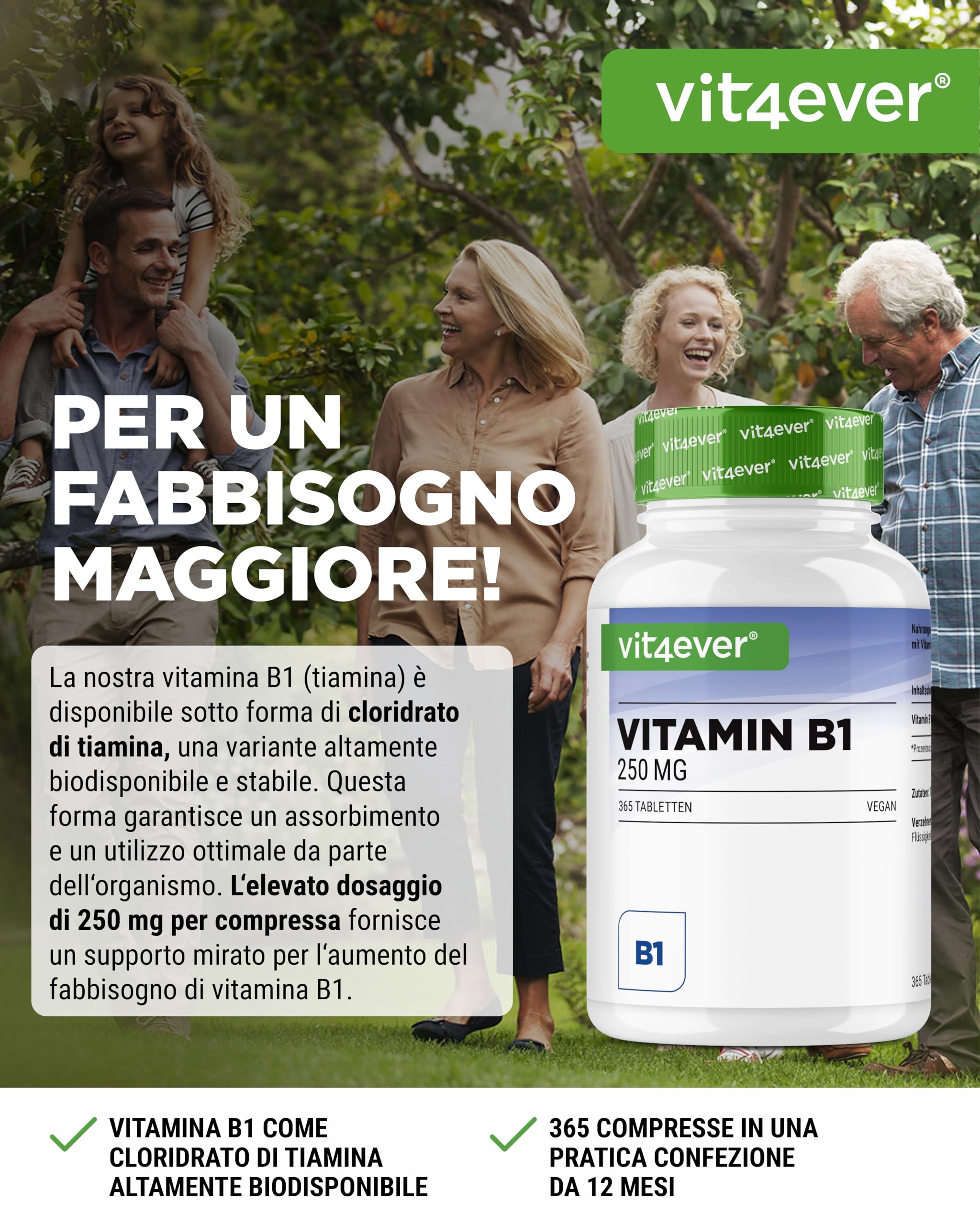 Vitamina B1 (Tiamina) - 250 mg - 365 compresse - Premium: tiamina cloridrato - Elevata biodisponibilità - Fornitura per 12 mesi - Senza additivi indesiderati - Vegan