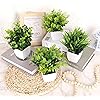 Product Photo 7
