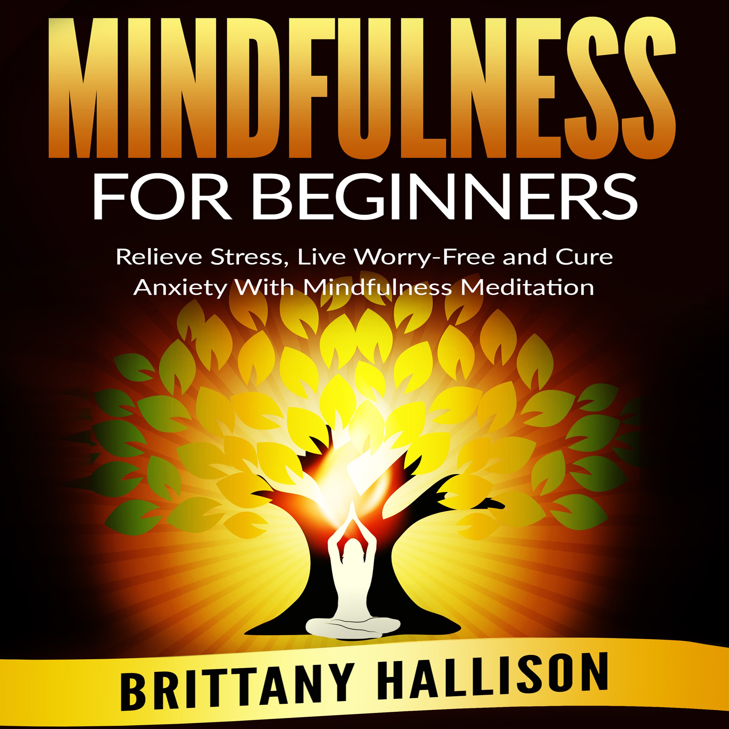 Cover art for Mindfulness for Beginners