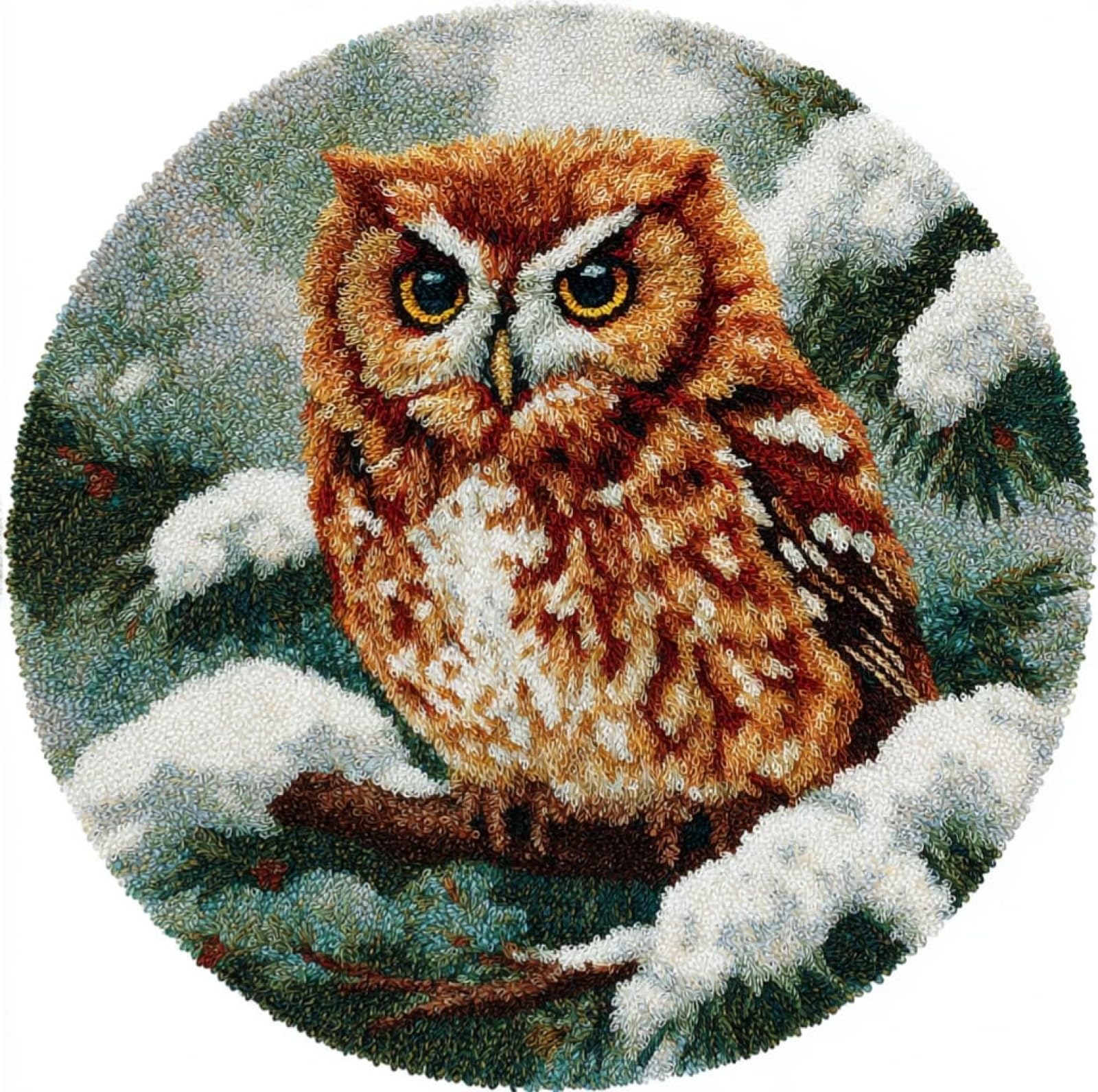 WallustrioaW DIY Latch Hook Rug Kits with Printed Canvas,Owl on a Branch,Floor Mat Crochet,Carpet Tapestry for Adult Craft Kits for Women,Relaxing Home Art Project,50x50cm