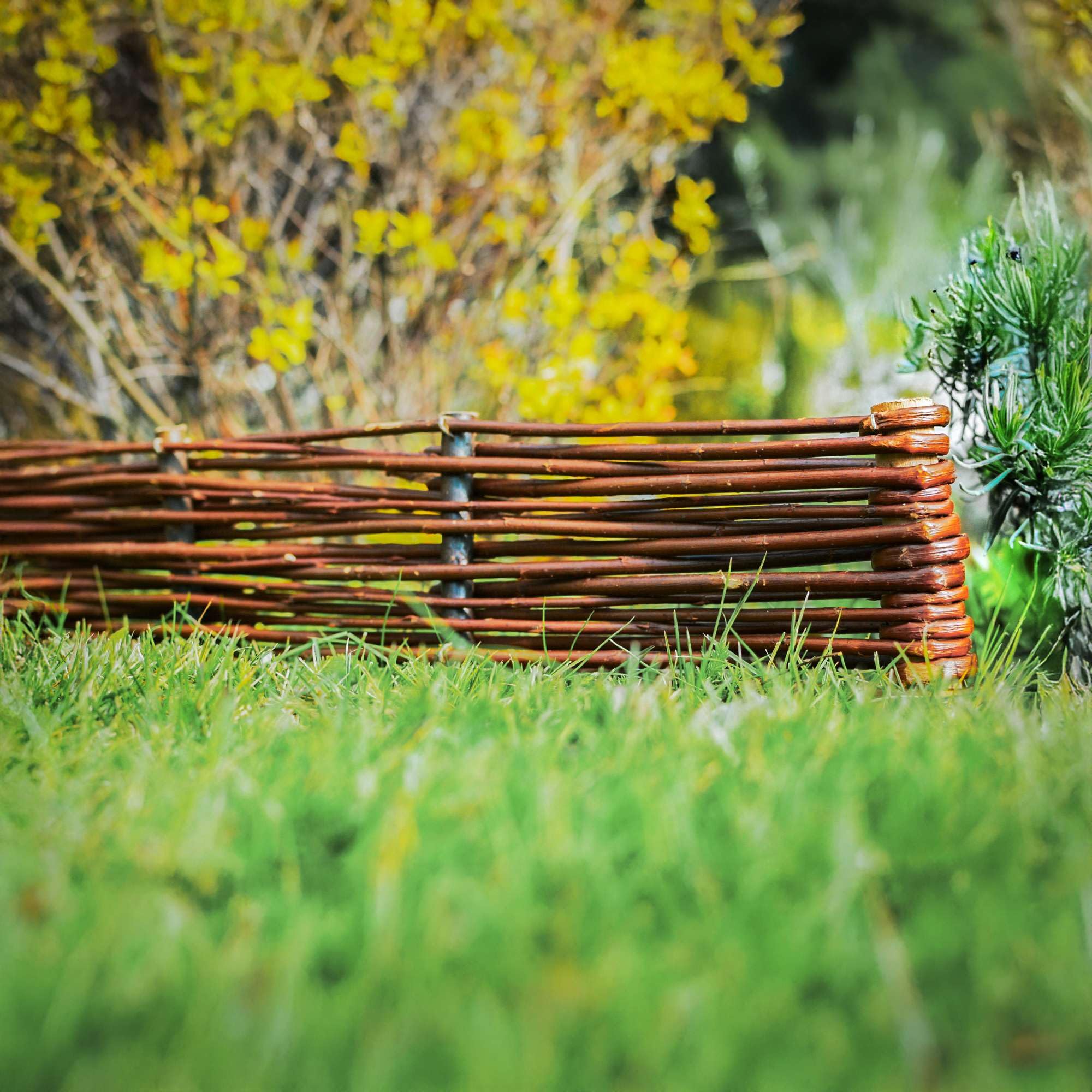 BOGATECO Bordures de Parterre en Saule | 100 cm de Long et 10 cm de Haut | Clôture en Bois pour Jardin | Délimitation de Chemin