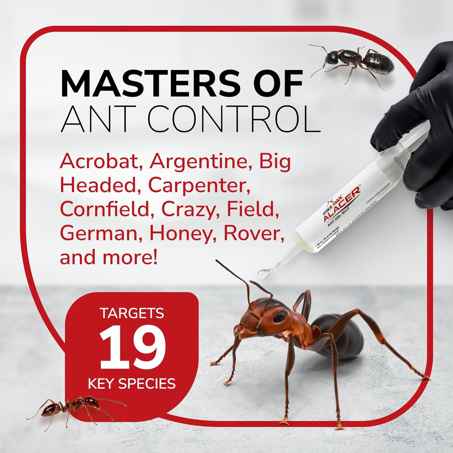 Ant Gel Bait, Indoor/Outdoor Use, Non-Staining, Odorless, Safe for Food Areas, Eliminates 19 Types of Ants Including Fire Ants, 4 Pack