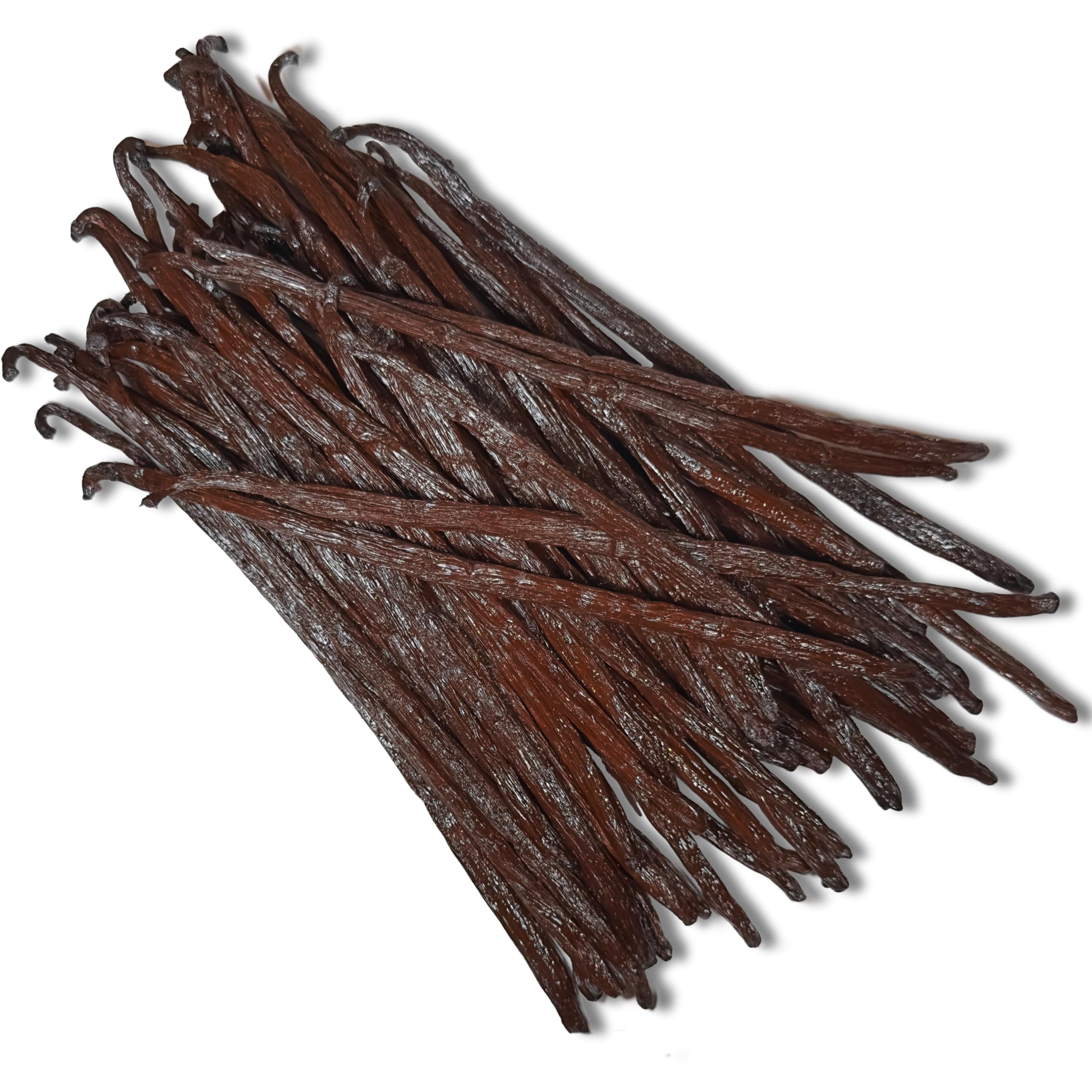 50 Bourbon Vanilleschoten aus Madagaskar – 18-20 cm – Größe XXL – Planifolia « Prestige Reserve » – Premium Qualität – Intensiv Aromatisch – 100% Natürlich – Für Patisserie & Desserts