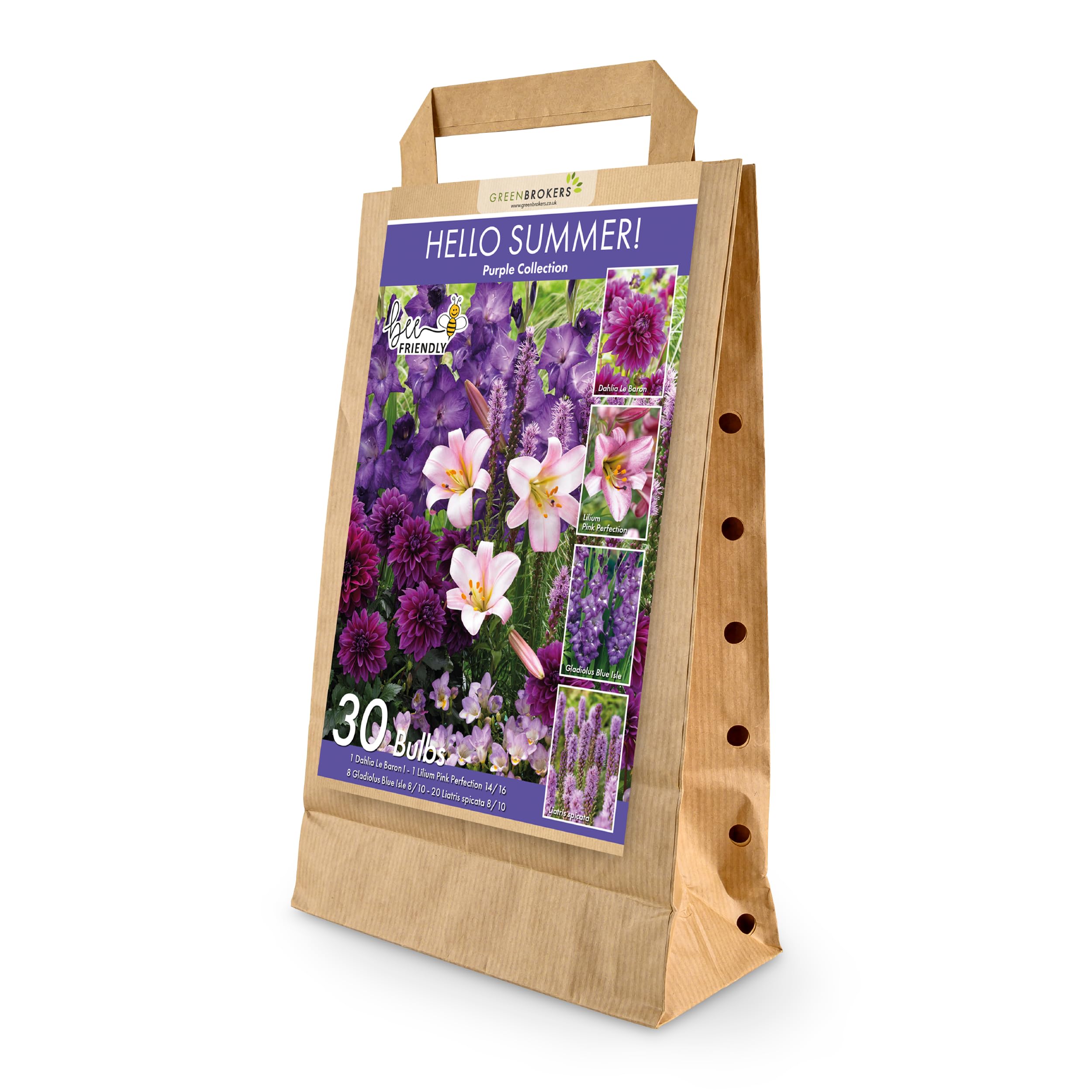 30 Hello Summer Purple Summer Bulb Collection | Purple Bulb Varieties | Eco Packaging | Plant Now Ready to Bloom in Summer