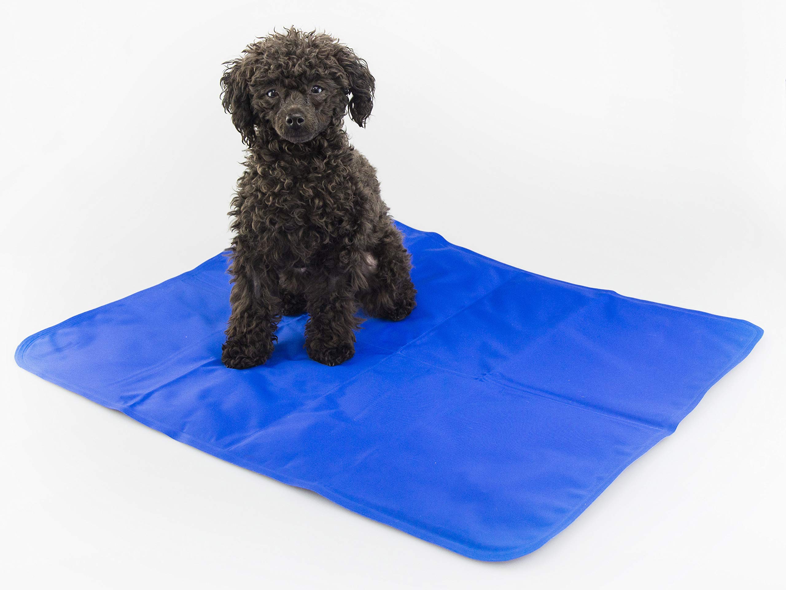 Procyon Kühlmatte für Hunde – Gel-Kühlmatte druckaktiviert - kein Einfrieren oder Kühlen - Verwendung drinnen, draußen oder im Auto (M (65x50cm))