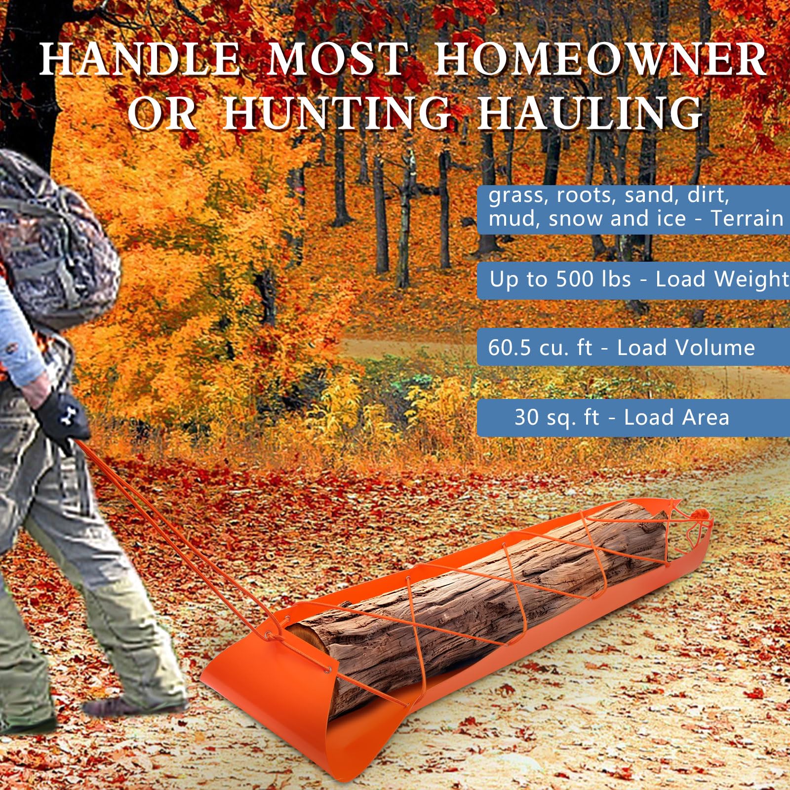 https://m.media-amazon.com/images/I/81pg0xlDxGL.jpg