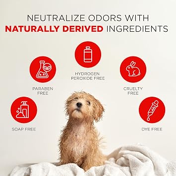 TropiClean Deodorizing Skunk Shampoo for Dogs - Extra Strength Skunk Odor Remover - 24 Hour Fast Relief - 20 oz