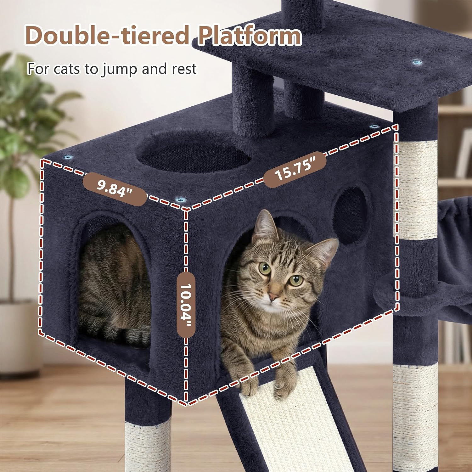 Cat inside the cozy cat condo with dimensions shown