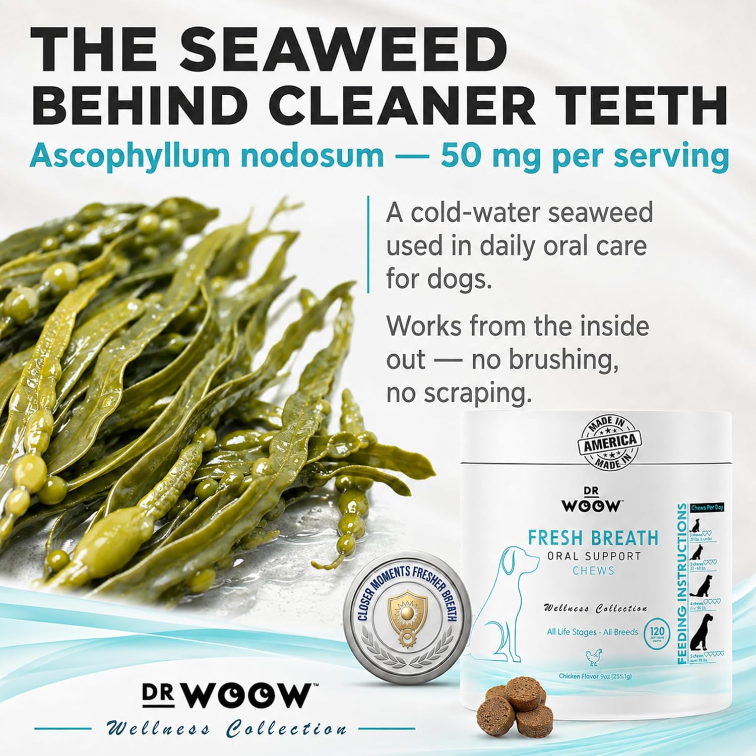 Fresh Breath Dental Chews for Dogs (120 Soft Chews) – Oral Care & Bad Breath Support – Turkey Tail Mushroom, Parsley & Kelp – Daily Teeth & Gum Support – Made in USA – .  thumbnail