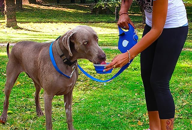 Foto 2 de 7 de Correa Retráctil para Perros con Botella De Agua, Correa Multifunción para Perros con Dispensador Incorporado