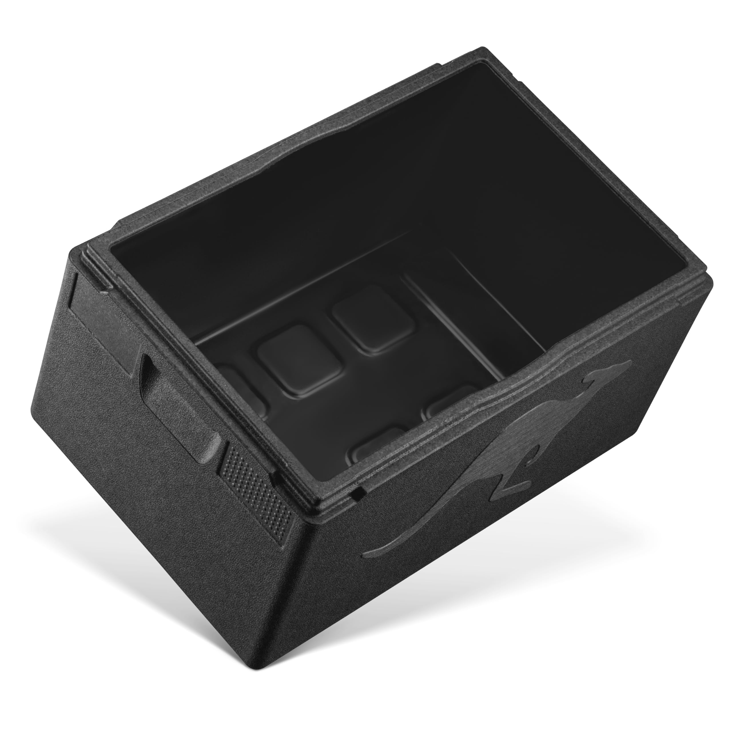 Contenitore Isotermico PROFESSIONAL GN-1/1 Interno Liscio Termotrattato, Brevettato Igiene Sicura [Capacità: 48L]