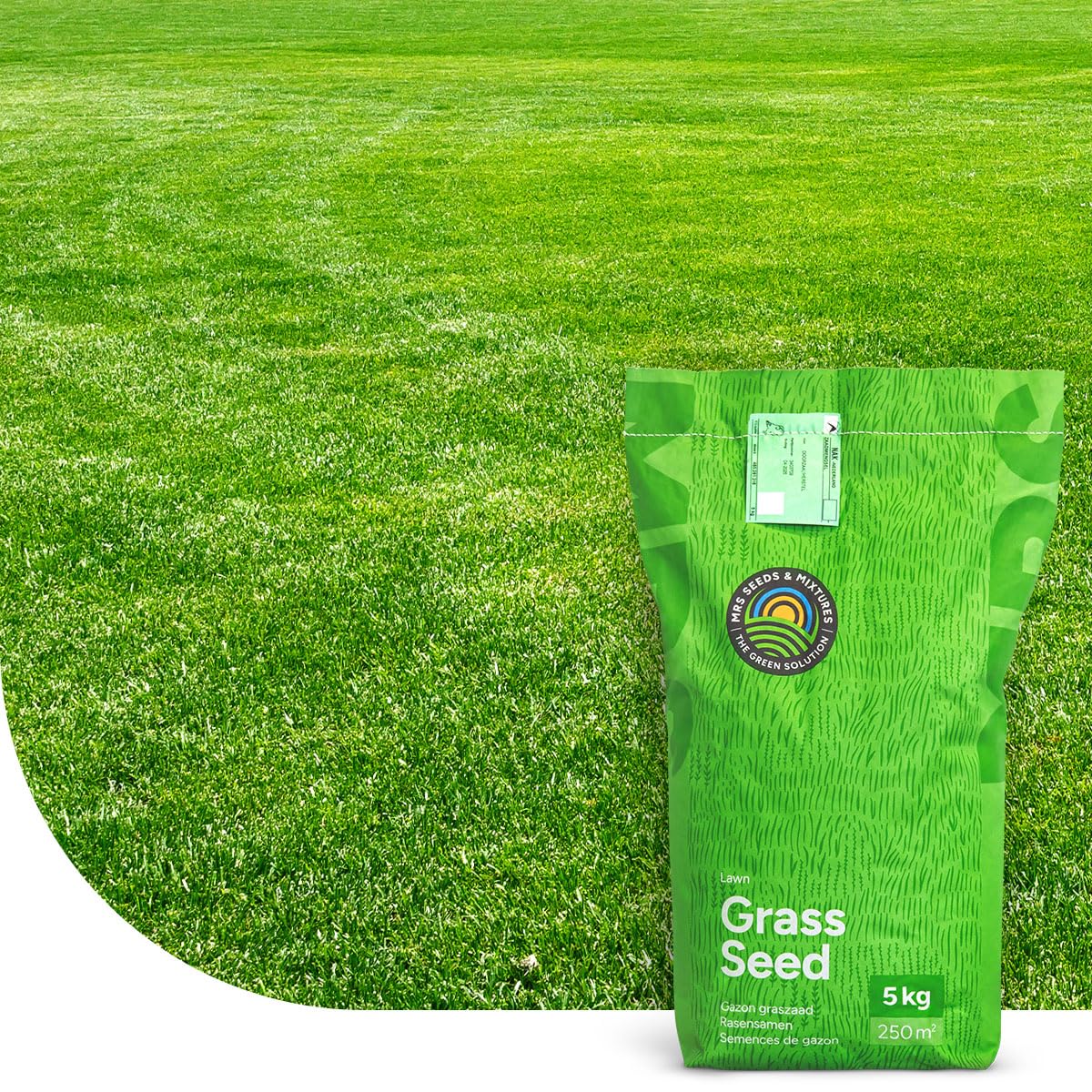 Rasen Nachsaat: Fast Repair | 15KG-750m2 | Schnellkeimende Rasensamen | Rasen nachsäen im Frühjahr und Herbst | Turbo Nachsaat | Testergebnis: SEHR GUT | MRS Seeds
