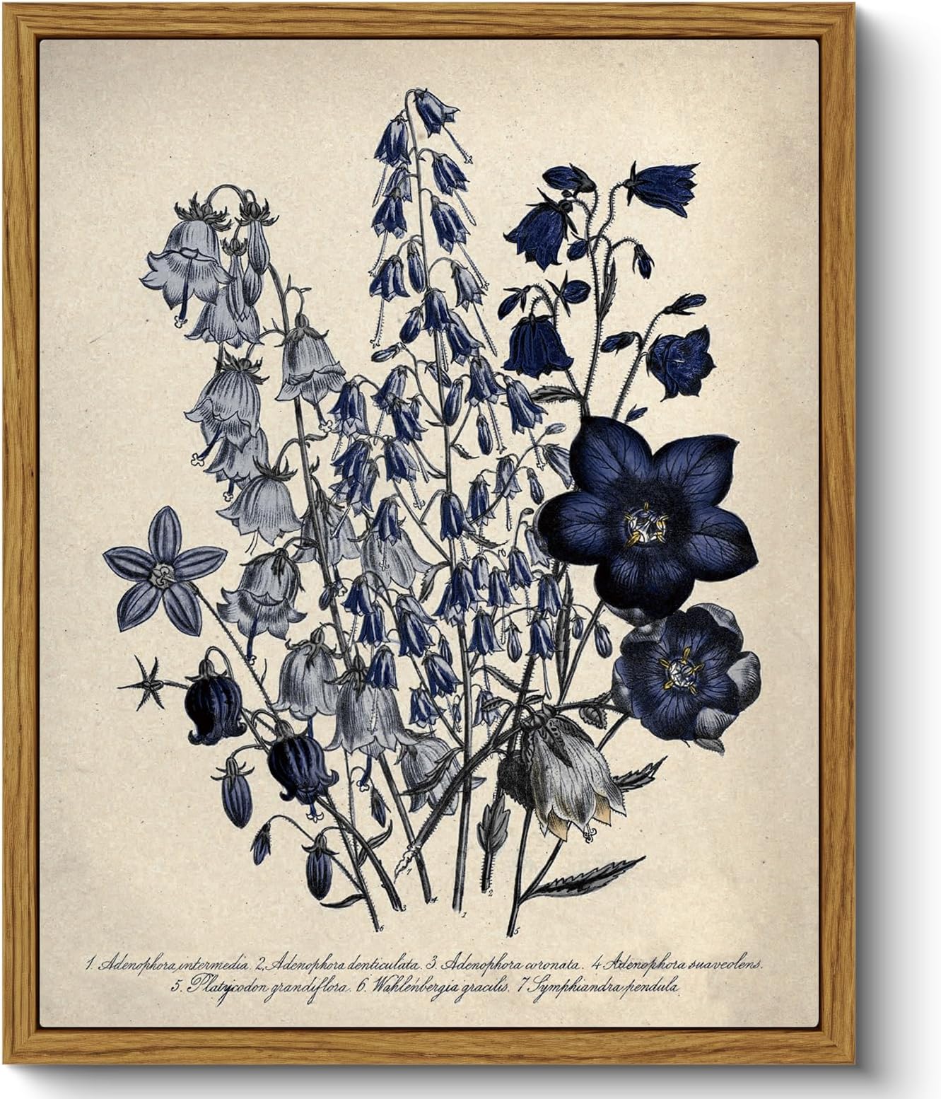 ARPEOTCY Framed Canvas Wall Art Prints, Living Room Hallway Shelf Decor, Blue Campanula Botanical Picture Paintings Wall Decor, Vintage Decor for Bedroom Bathroom Table, Aesthetic Room Decor, 20x25cm