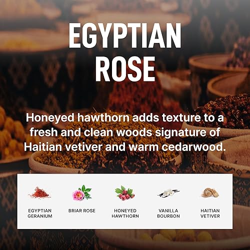 Miniatura 5 de Laundry Sauce - Cápsulas de detergente para ropa perfumado de lujo y paquete potenciador de aroma (Rosa Egipcia), cápsulas premium para lavado de