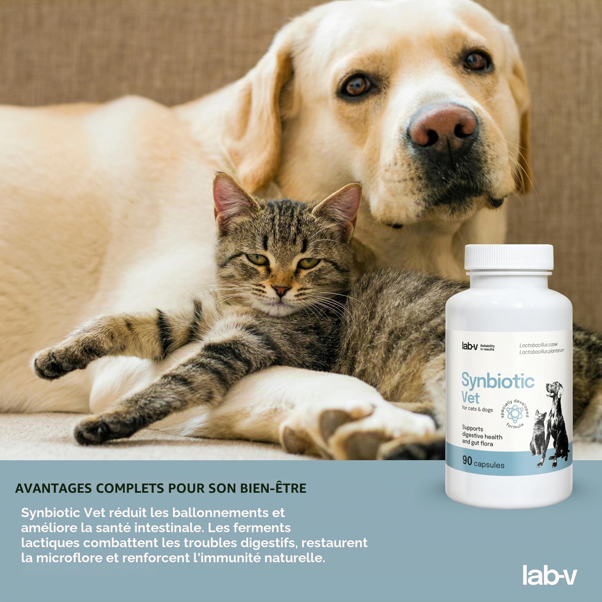 Lab-V Synbiotic Vet Probiotiques pour chiens et chats, 90 gélules probiotiques digestives pour chiens et chats avec prébiotiques, suppléments pour chien et chat, ferments lactiques, intestin santé