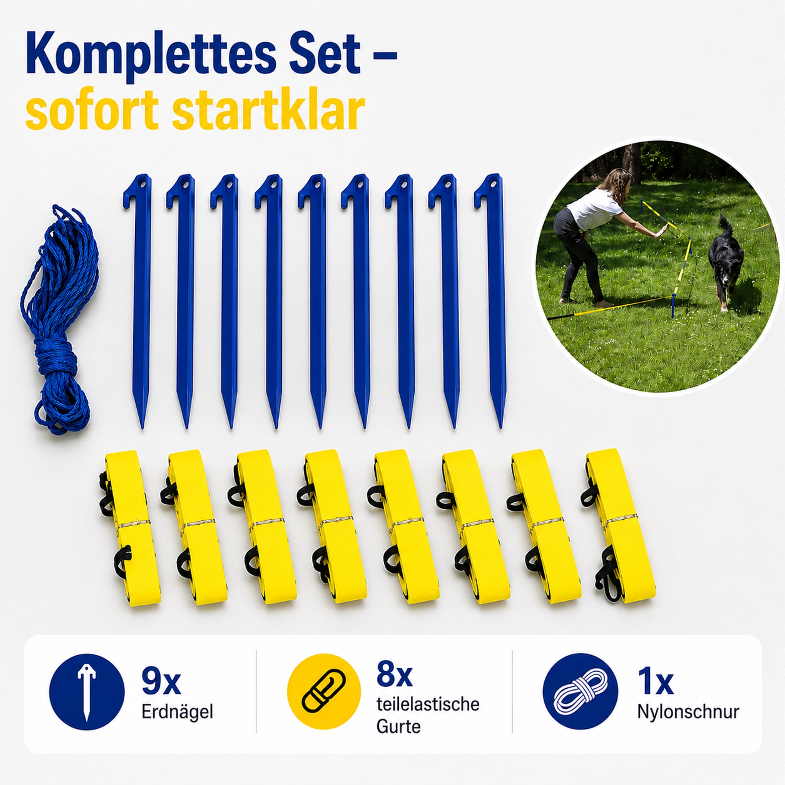 Longier-Set für Hunde, Radius 3-3,5m, Hundetraining, Longieren mit Hund