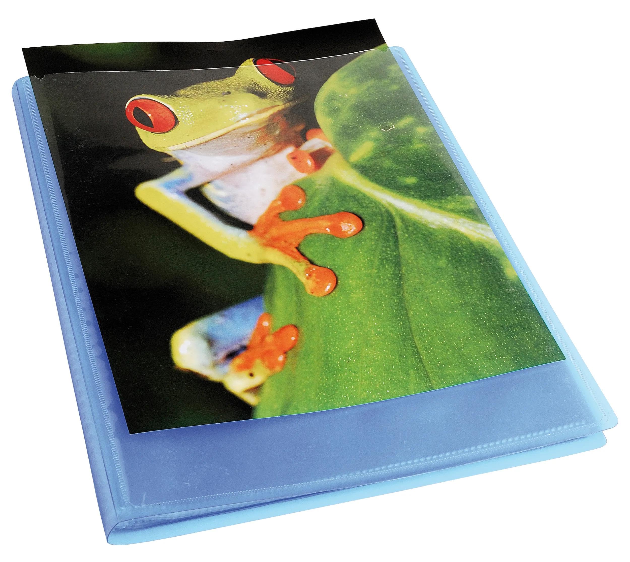 Exacompta - Ref. 5762E Kreacover Chromaline - Cartón de 10 protectores de documentos (60 fundas de cristal liso, 120 vistas, para A4, 24 x 32 cm), color azul