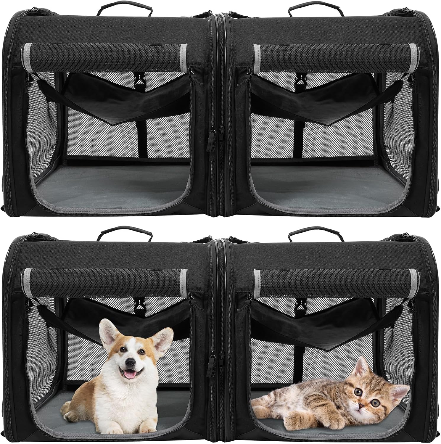 Wenqik 2 Set Large Cat Carrier for 2 Cats Dog Carrier