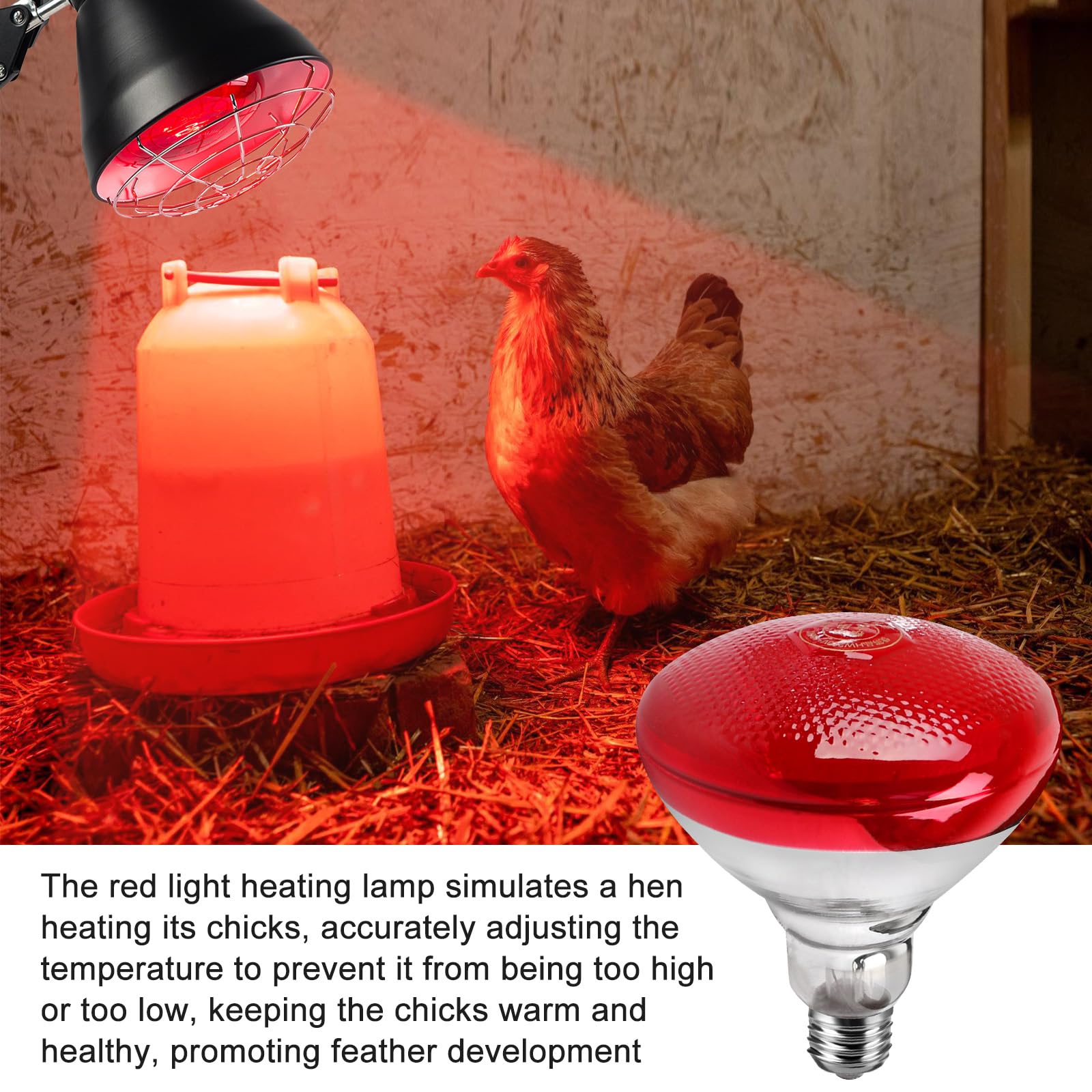 BORDEAG Lámpara De Luz Roja Lámpara De Calor, 150 W Calentadores Para Gallineros, Lámpara Calefactora Gallinero, Lámpara De Calor Animales Lámpara Infrarroja Termostática Automática