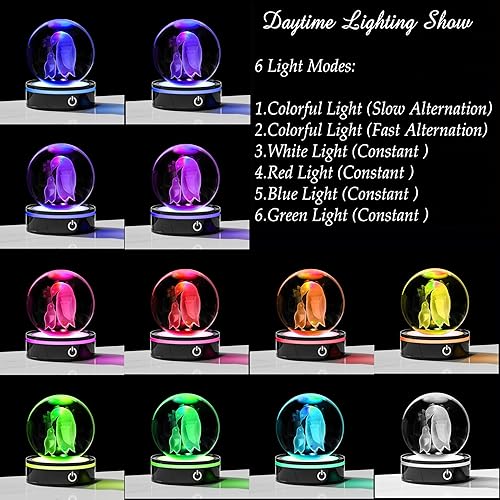 Miniatura 3 de Enjinkail Bola de cristal 3D, regalo de pingüino para mujeres y hombres, adorno de pingüino de cristal, figura de animales, decoración del hogar