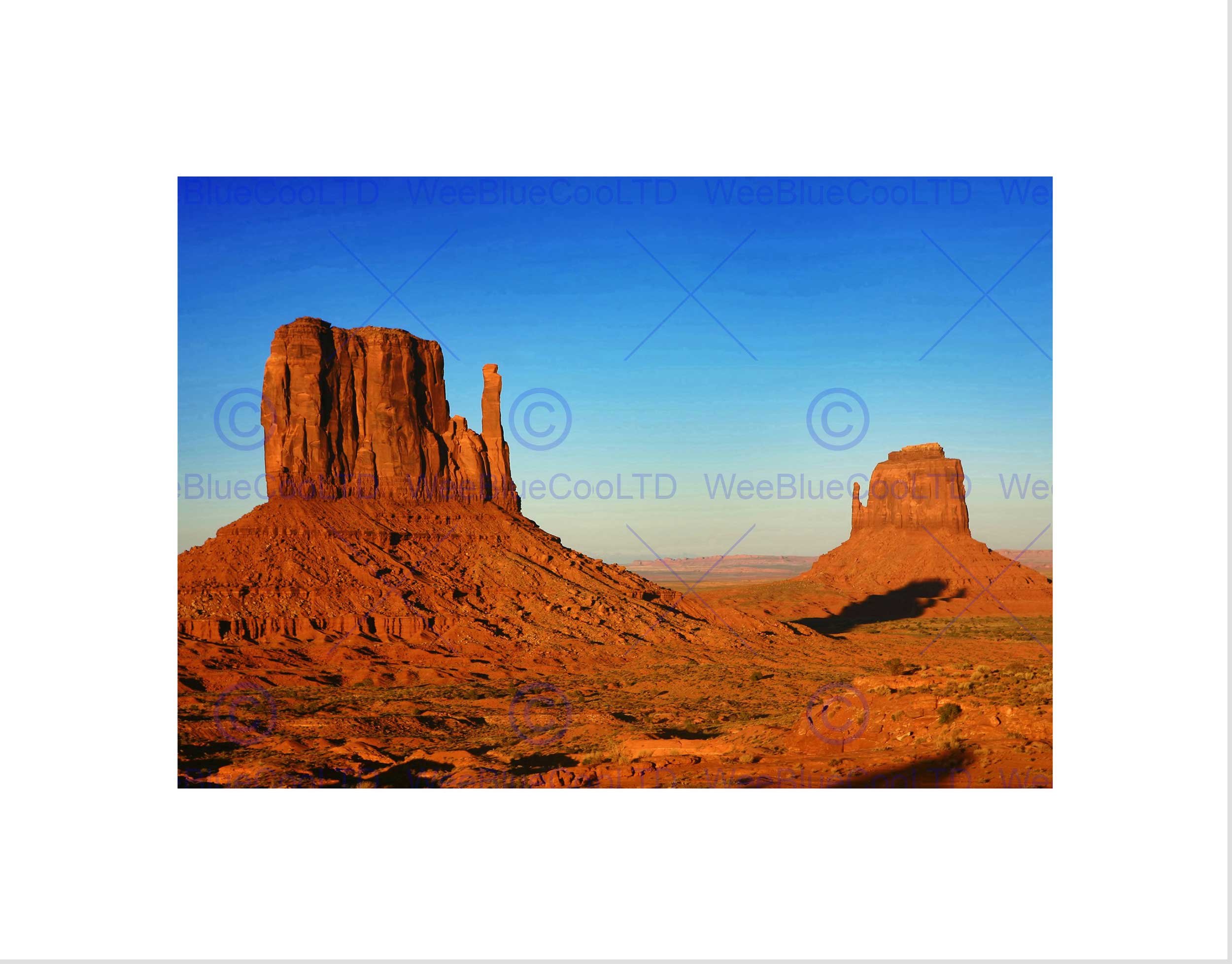 Wee Blue Coo Monument Valley Utah Arizona USA Art Picture Wall Art Print