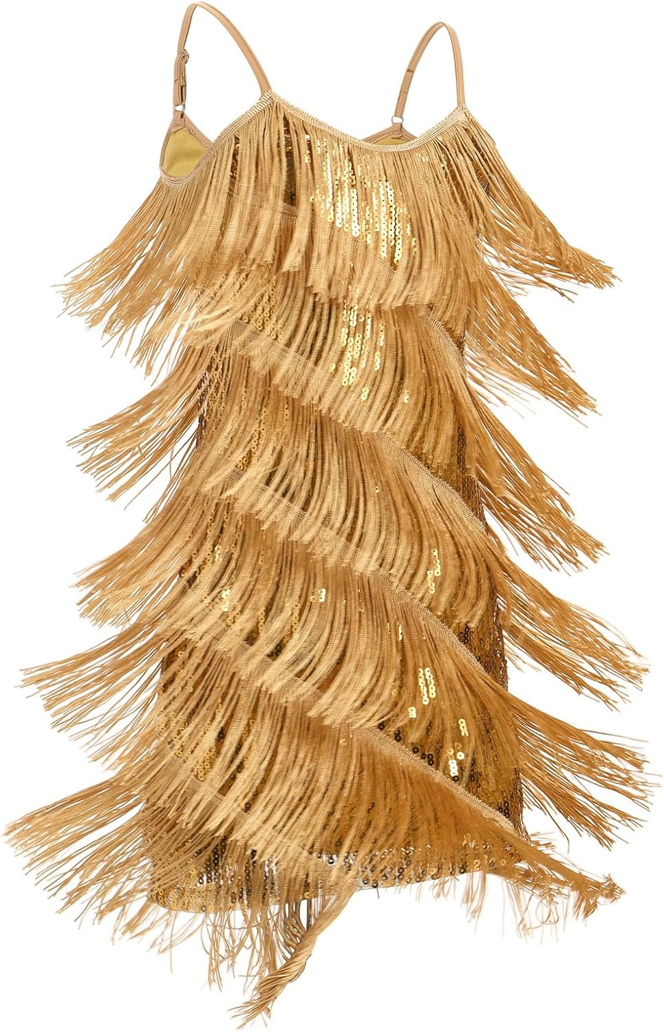 IDOPIP Kids Girls 1920s Flapper Dress Tassels Sequins Fringe Latin Dance Dress Gatsby Halloween Party Ballroom Dance Costumes