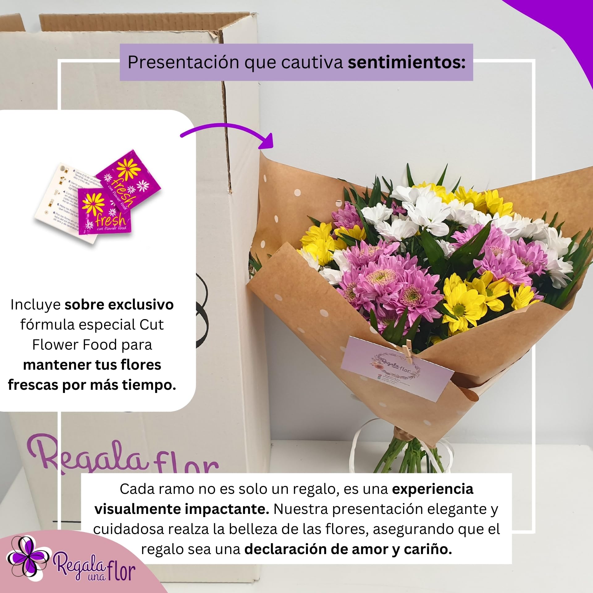 Ramo Flores Secas Enviar Flores A Domicilio En 24 Frescas Y