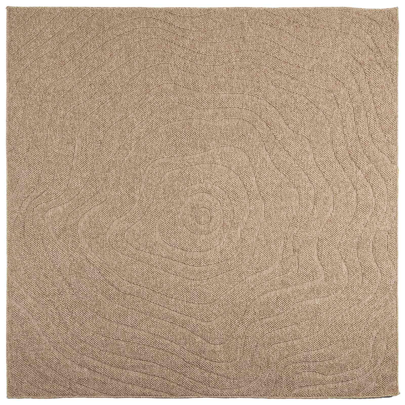 vidaXL Tapis d'intérieur et d'extérieur AGIRA Naturel 200 x 200 cm