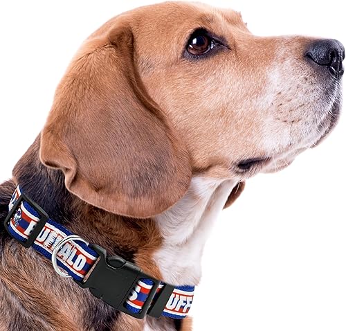 Miniatura 121 de NFL - Collar para perro de Philadelphia Eagles, collar mediano del equipo de fútbol para perros y gatos. Un collar brillante y colorido para gatos