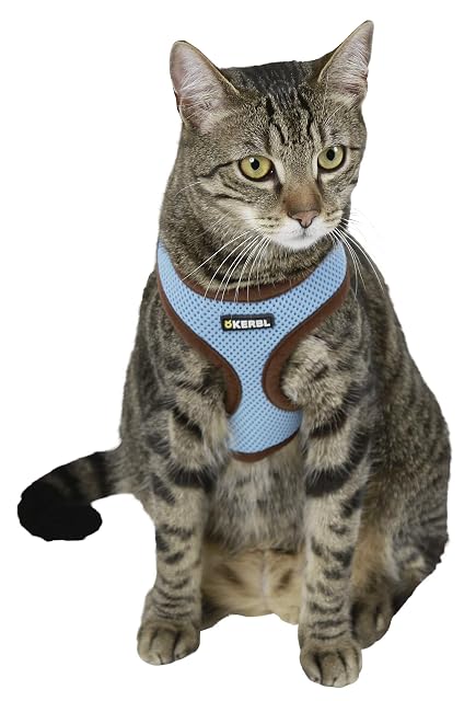 Foto 3 de 3 de Kerbl 82645, Arnés para Gatos, 110 cm, Azul