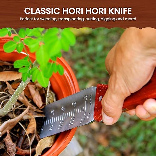 Vista 16 de Garden Guru Hori Hori - Cuchillo de jardín para desmalezar, cavar, podar y cultivar, hoja de acero inoxidable con espiga completa, mango de madera