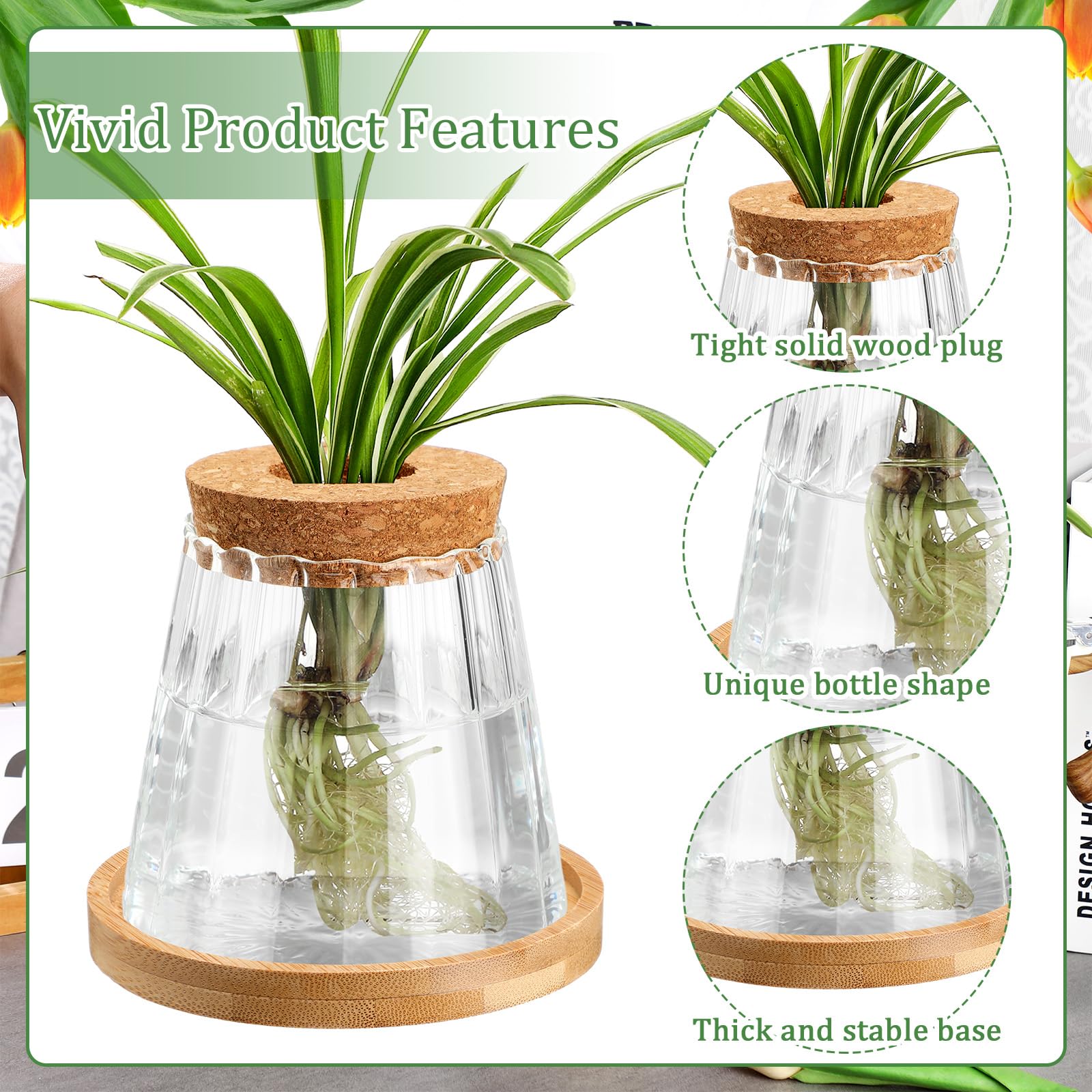 Snapklik.com : Beeveer 6 Pcs Plants Propagation Station Separated ...