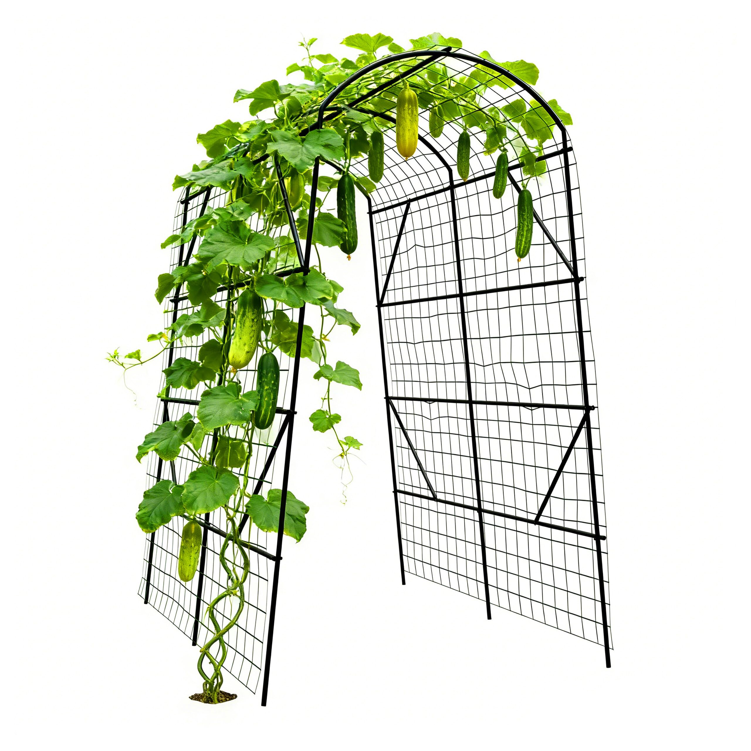 Relaxdays Supporto cetrioli, arco metallico con rete per fagioli, piselli e uva, HxLxP 230×140×198 cm, nero/verde