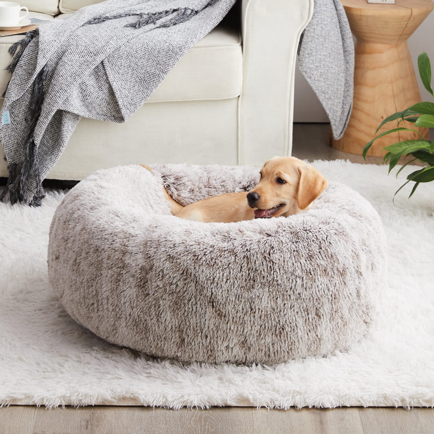 WNPETHOMECalming Dog Bed & Cat Bed, Anti-Anxiety Donut Small Dog Bed, Fluffy Faux Fur Cat Cushion Dog Bed for Small Dogs and Cats (27 x 27 Inch, Light Coffee)