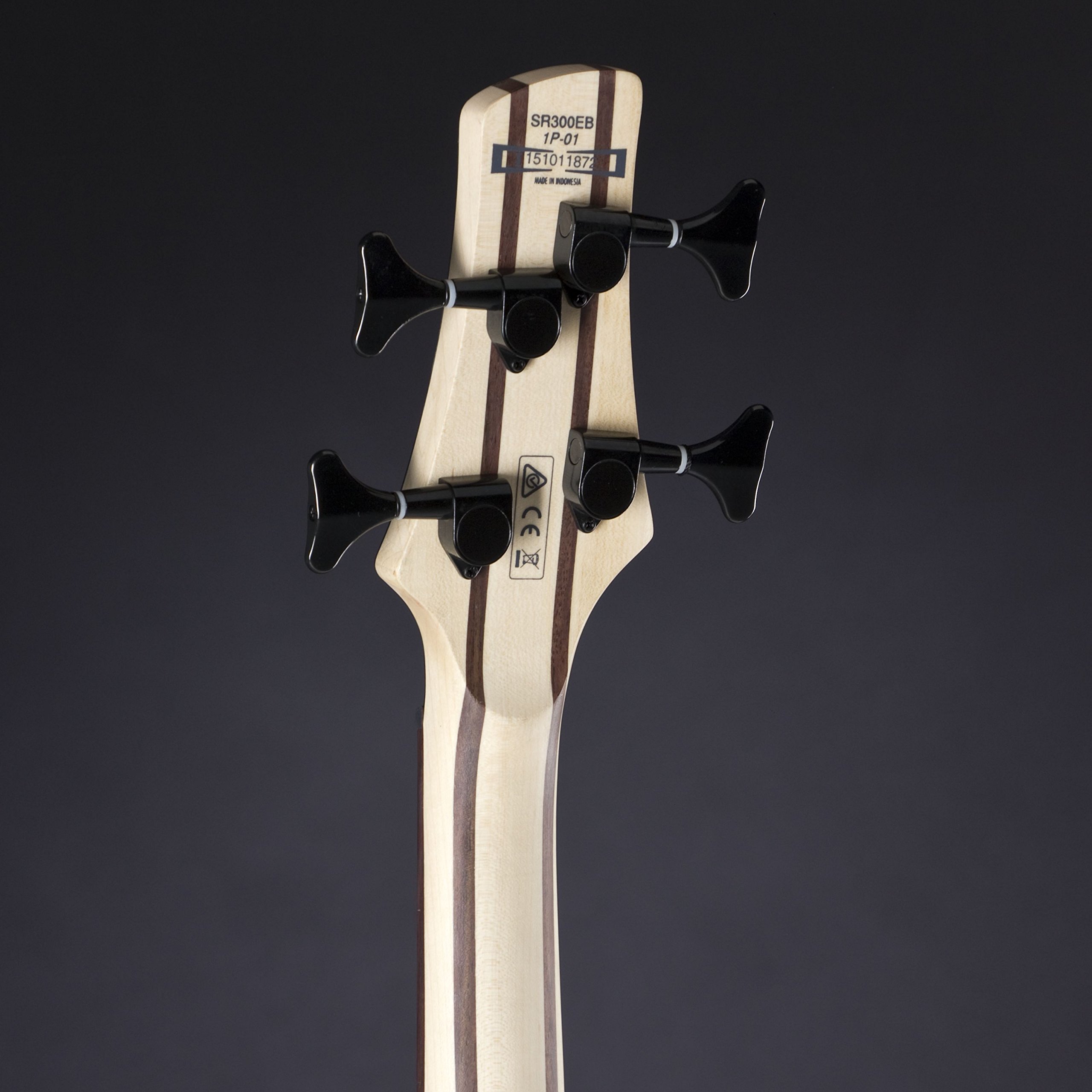 Ibanez SR300EB-CA/Bass