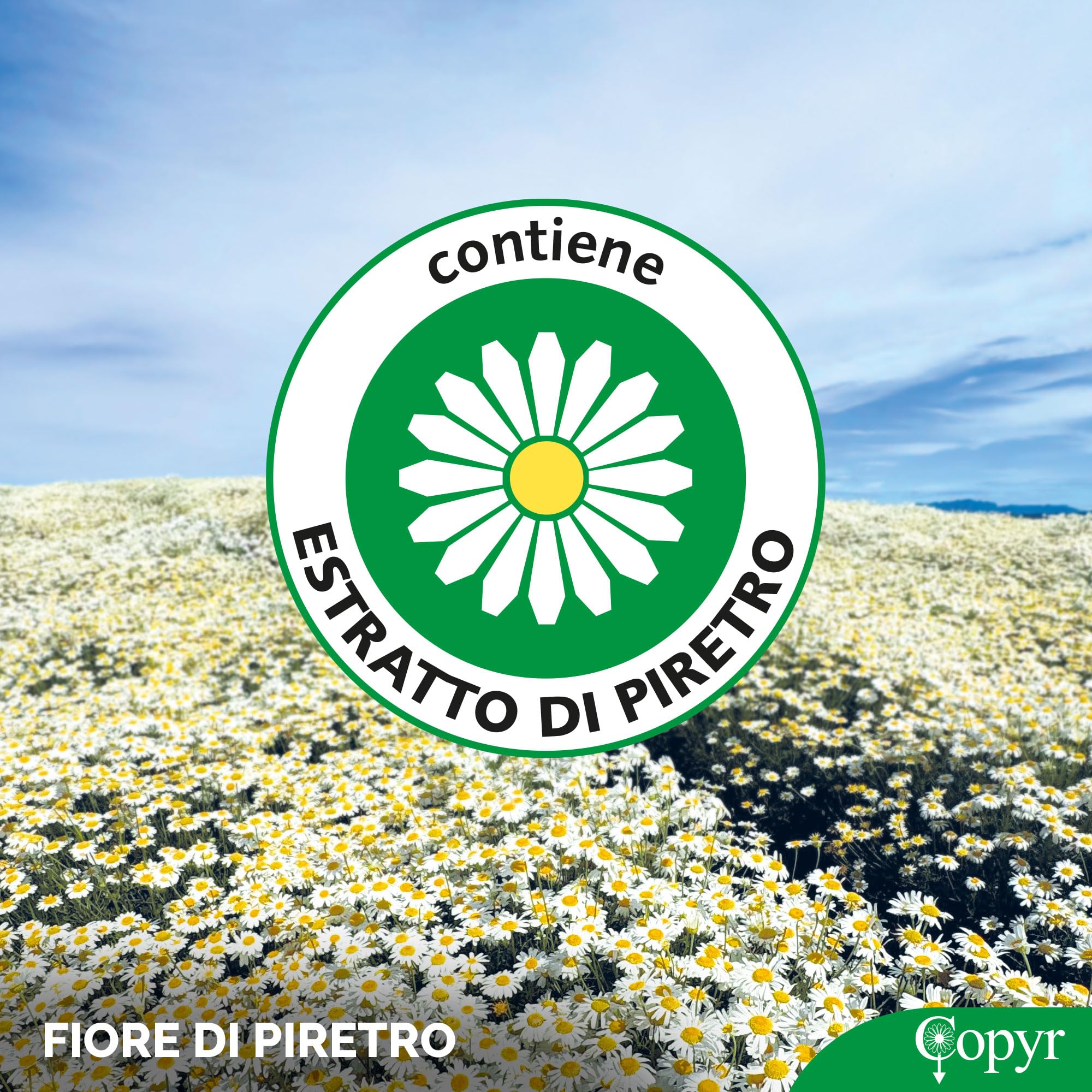 Copyr Kenyasafe Extra - Insetticida Antizanzare, Mosche e Insetti Volanti, 6 Bombole 250ml, Piretro Insetticida Biologico Repellente Zanzare Professionale Casa, Ho.Re.Ca., Settore Pubblico e Sanitario