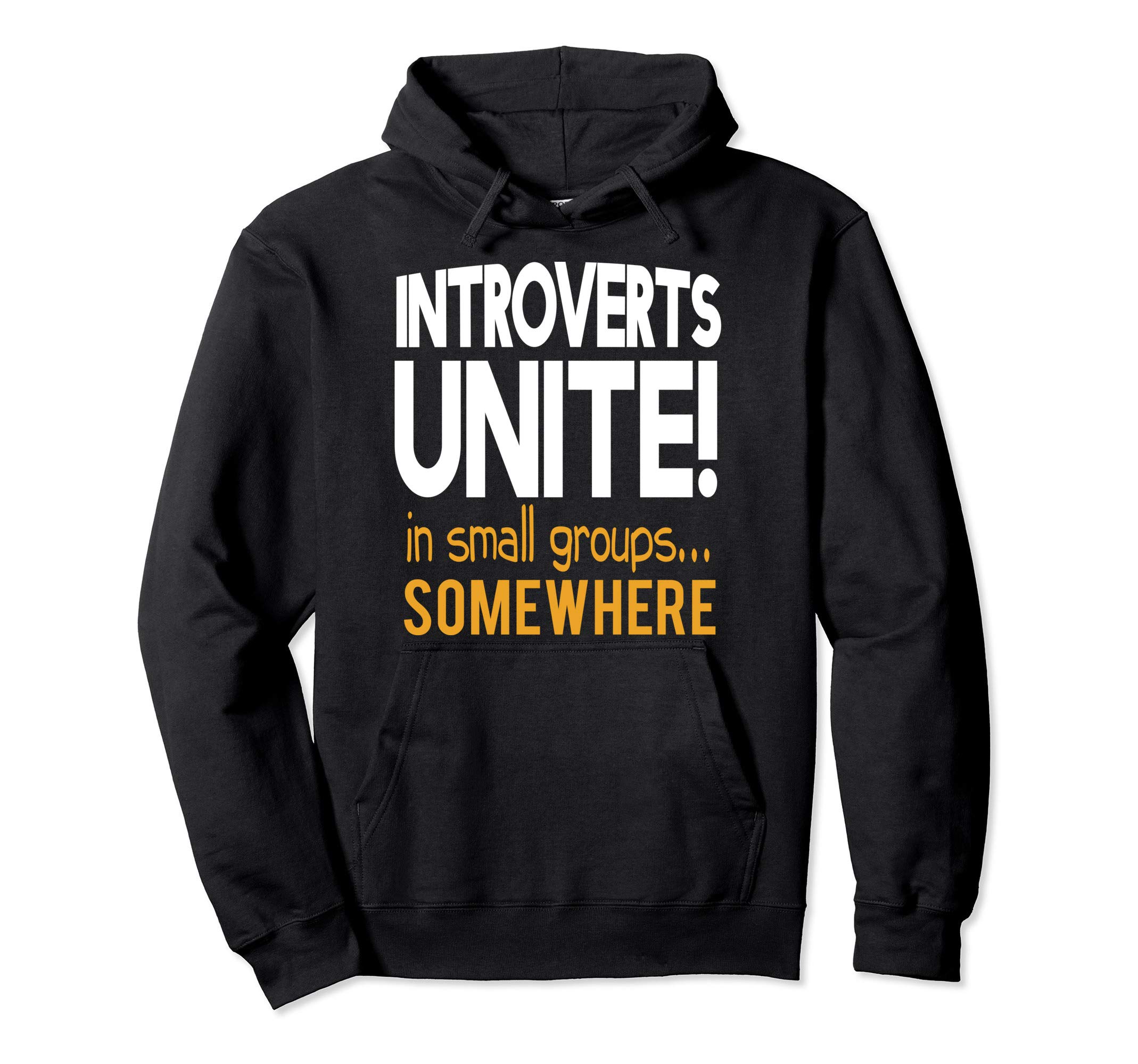 Introverts Unite Separately Your Own Homes GiftIntroverts Unite in Small Groups Somewhere Antisocial Gift Pullover Hoodie