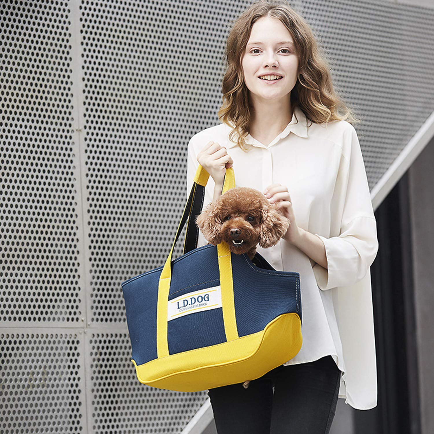 PETCUTE Transportín Perro Gato Bolsa De Transporte Transpirable para Mascotas Jaulas para Perros Pequeño Medianos Coche Avion Portador de Viaje hasta 10 Kg