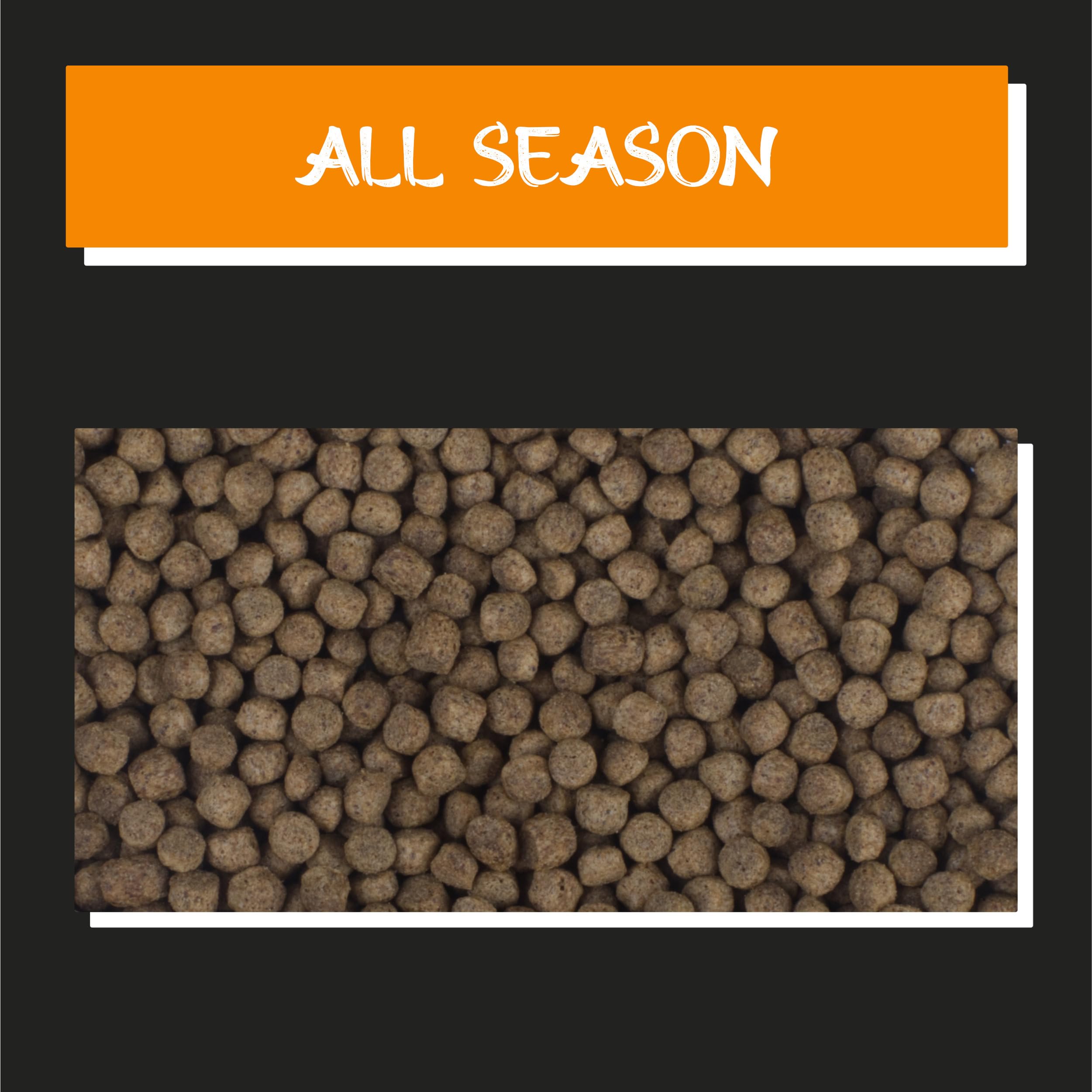 Tanoshi Koifutter - All Season - 6mm 13,5 kg | Schwimmendes Hauptfutter für eine ausgewogene Ernährung | Ganzjahresfutter mit Lachsöl | ab 8°C