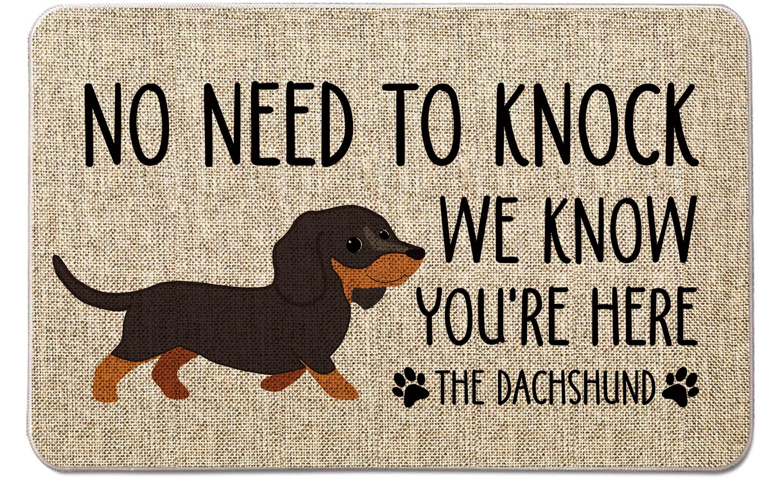QIONG MENG Dog Door Mat Dachshund Welcome Doormats No Need to Knock We Know You're Here Entrance Rug Farmhouse Home Kitchen Floor Front Door Mat 17 x